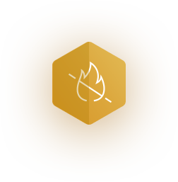 Second Card Image
