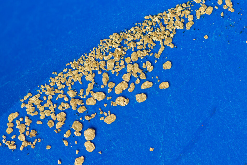 Gold Panning. Gold flakes found in river in a blue pan for gold, Europe